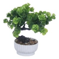 Genérico - Set 2 Planta Artificial Inspiración Bonsái Decorativo Jhn