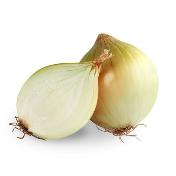 Cebolla Granel.