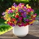 thumbnail image 4 of 24 paquetes de flores artificiales Alupssuc para decoración exterior, 4 of 9