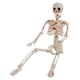 thumbnail image 3 of Figura De Esqueleto De Halloween Articulada, Decorativa Para Césped Interior., 3 of 5