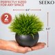 thumbnail image 2 of Plantas artificiales SEEKO suculentas 17 cm (2 unidades) macetas negras, 2 of 6