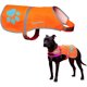 thumbnail image 1 of Blaze Orange Dog Vest. Reflective High Visibility in Hunting, 1 of 1