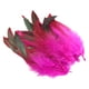 thumbnail image 2 of 50 Plumas Para Manualidades, Decoración Para Bodas, Joyería, Color Rojo Rosa, 2 of 5