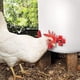thumbnail image 2 of Paquete de 20 bebederos horizontales para pollos, automáticos, de montaje lateral, para pollos, codornices y patos., 2 of 7