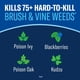 thumbnail image 2 of Herbicida Bayer Advanced Eliminador de Hiedra Venenosa Plus 946 ml, 2 of 9