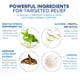 thumbnail image 3 of Crema de tratamiento Hermon Tinea Versicolor 1% Clotrimazol 100g, 3 of 7