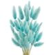 thumbnail image 1 of 50 flores secas de hierba de la pampa que nunca se marchitan, decoración natural, flores bohemias, decoración de cumpleaños, boda, decoración del hogar (azul Tiffany claro), 1 of 5