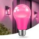 thumbnail image 3 of Bombilla LED JAHEKS 9W Rosa E26 Pack de 2, 3 of 6
