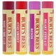 thumbnail image 2 of Set Bálsamo Labial Burts Bees Hidratante 4 Piezas, 2 of 3