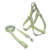 Winpet - Arnés Para Perro Con Correa Step Reflectante Verde M