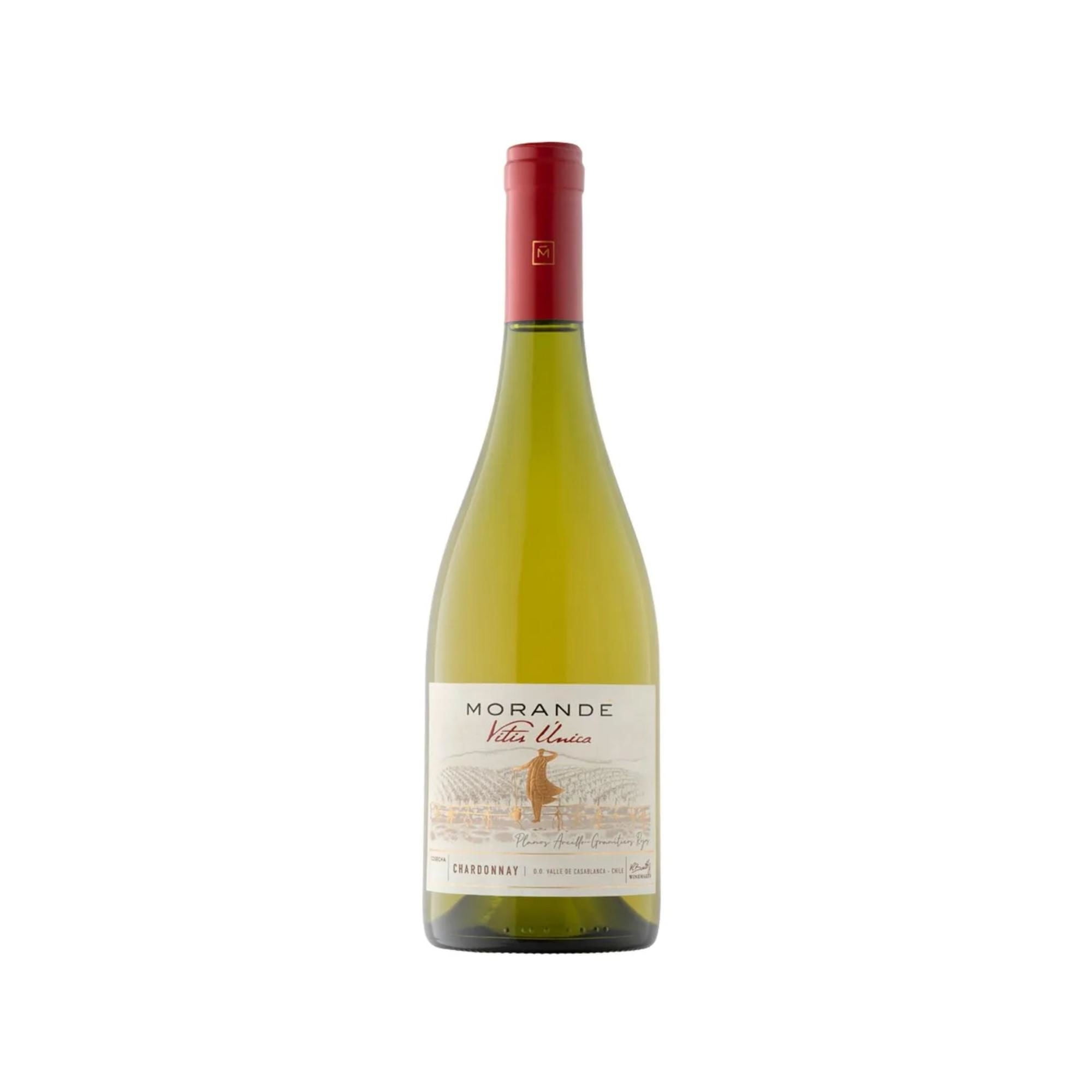 Vino Blanco Chardonnay 13.3° Botella 750 ml Morande