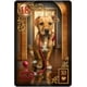 thumbnail image 5 of Juego de cartas US Games Gilded Reverie Lenormand Expanded Edition, 5 of 9