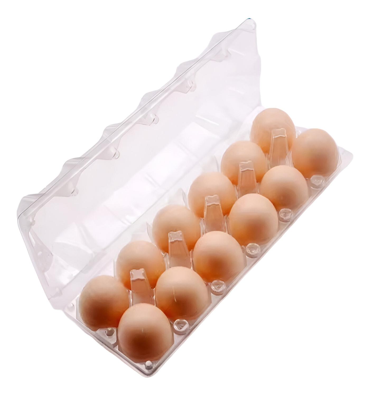 Genérica - Pack 100 Cajas Bandeja 12 Huevos Gallina Plástica Huevera Transparente