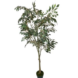 Corel - Planta Decorativa Árbol De Ficus Hoja Chica 168 Cm