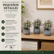 thumbnail image 3 of Set 3 Plantas Artificiales Flores Velo de Novia Decoracion purpura, 3 of 6