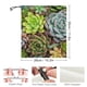 thumbnail image 2 of Braga de Cuello Desmarcar Succulent Plants Talla Única, 2 of 6
