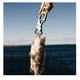 thumbnail image 5 of Pinza Alicate Labio Recogedor Pesca Tk-3, 5 of 6