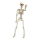 thumbnail image 2 of Adorno De Calavera Con Esqueleto De Halloween Para Interiores Y Exteriores, Casa Embrujada M, 2 of 2