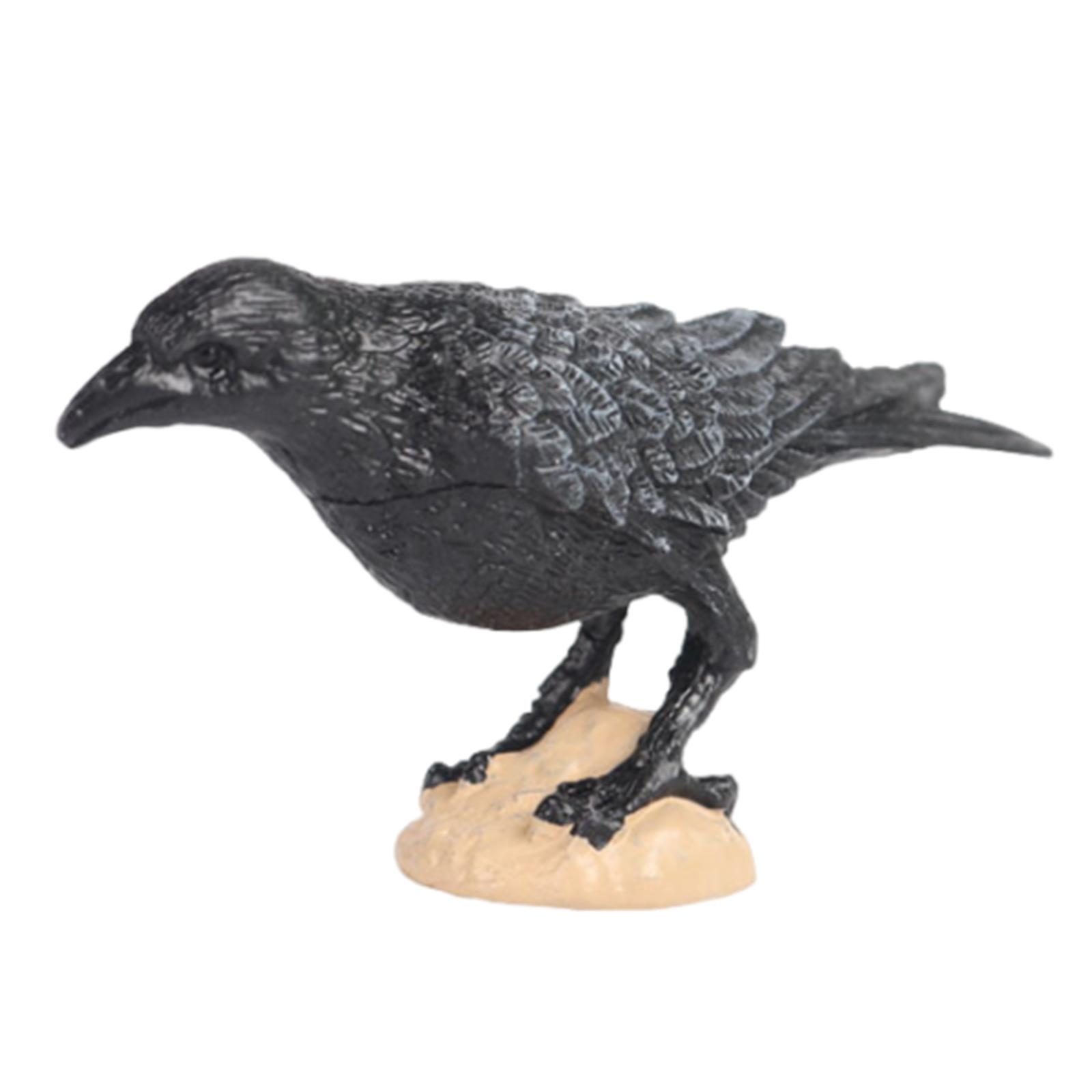 Bothyi - Figuras De Loro, Juguete Educativo Realista, Figuras De Pájaros De Cuervo, Recuerdos De Fiesta