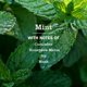 thumbnail image 5 of Set de limpieza Mrs. MEYER'S 3CT con aroma a menta, 5 of 9