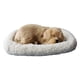 thumbnail image 2 of Juguetes De Peluche Para Dormir Con Alfombra, Figura De Simulación, Estantería, Decoración, Labrador, 2 of 5