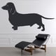 thumbnail image 2 of Decomural Dachshund Dog Pet Animals WS-18710, 2 of 2
