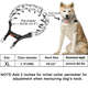 thumbnail image 5 of Collar de púas para perros, collar de entrenamiento de estrangulamiento, eslabones ajustables de acero inoxidable con puntas de goma cómodas, hebilla de liberación rápida para perros medianos y grande, 5 of 7