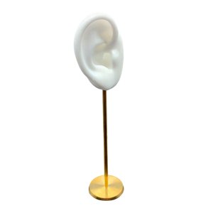 Ioensy - Soporte De Exhibición De Arete Duradero Modelo De Oído Humano Soporte De Perno Silicona Suave Blanco Derecho