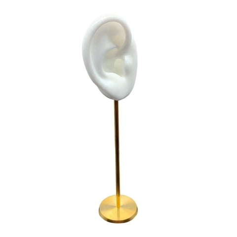 Ioensy - Soporte De Exhibición De Arete Duradero Modelo De Oído Humano Soporte De Perno Silicona Suave Blanco Derecho