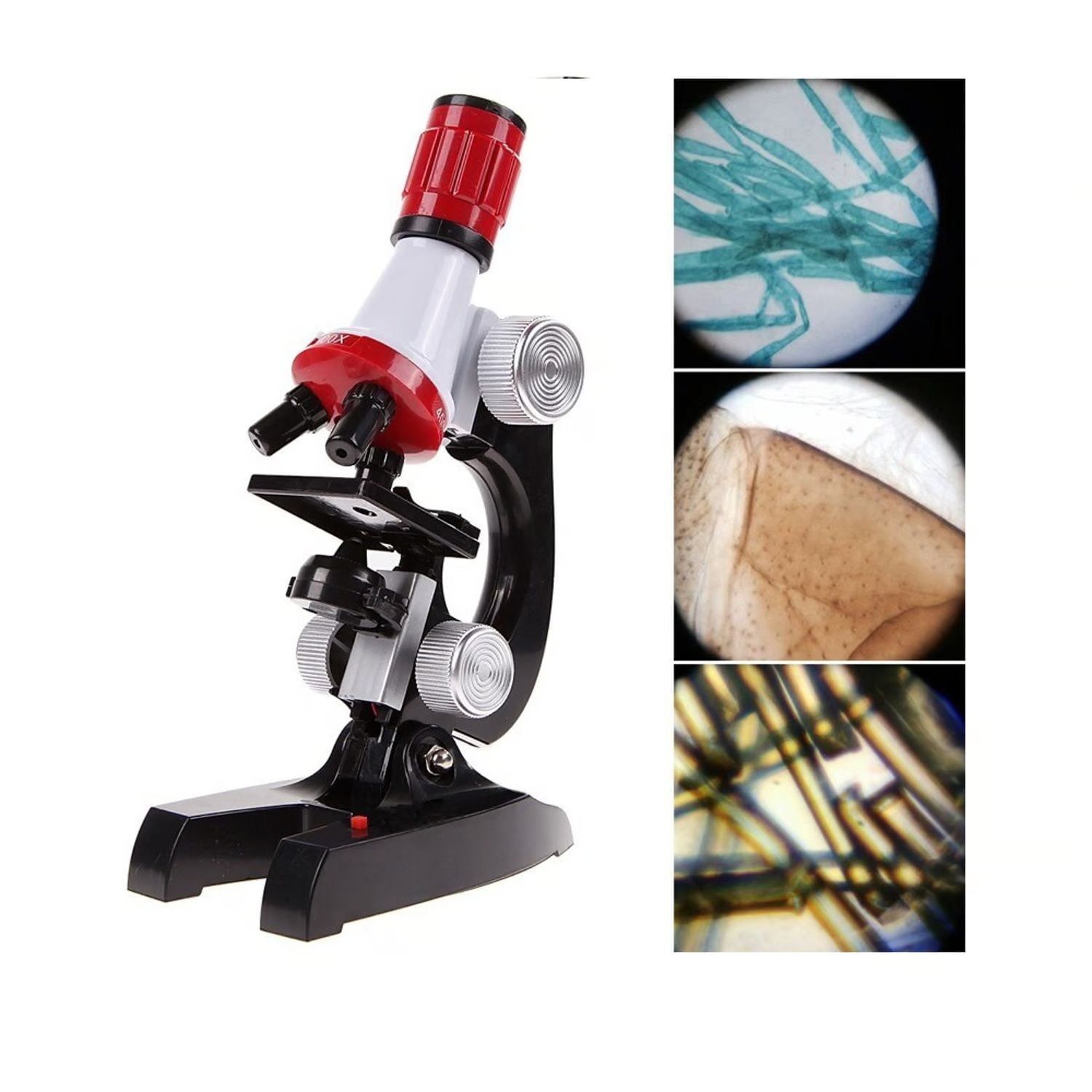 Microscopio Educativo Portátil Para Niños – Aumento 1000x, Ajuste De Enfoque, Cuerpo De Metal, Kit De Ciencia Para Explorar El Mundo Microscópico