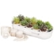thumbnail image 1 of Kit completo para cultivar microgreens GARDYN de hidroponía interior, 1 of 9