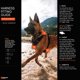 thumbnail image 5 of Arnés para perro Non‑stop dogwear XS negro/naranja, 5 of 9