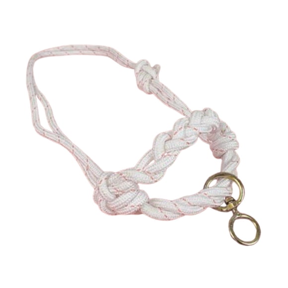 Halter De Vaca, Granjas Profesionales, Arnés De Cabeza De Toro, Accesorios Para Pantorrilla, Brida De Toro Trenzada Pequeña