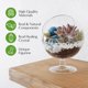 thumbnail image 4 of Kit de terrario Creations de Nathalie Glass DIY con soporte de metal, 4 of 9
