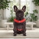 thumbnail image 4 of Arnés Petlounge Easy Glam Mascotas Perros Talla M rojo, 4 of 9