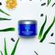 thumbnail image 2 of Mascarilla capilar L'ANZA Healing Moi Moi para cabello seco, 200 ml, 2 of 6