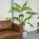 thumbnail image 2 of Planta Artificial Decorativa Arbol Grande Palmera 180cm 15h, 2 of 9
