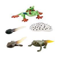 Magideal - Figuritas De Ciclo Montessori, Animales, Ranas Cognitivas, Modelo De Para Materiales De Enseñanza Preescolar, Juguetes De Desarrollo, Estilo A