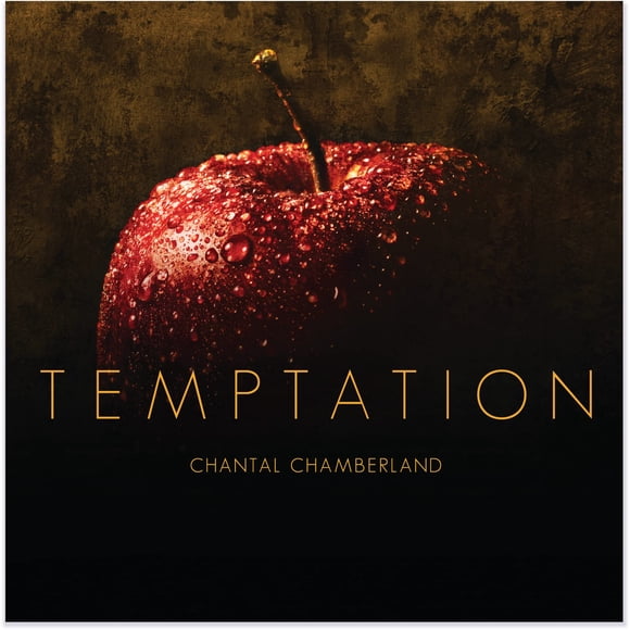 LP Evosound Temptation (2LP)
