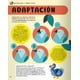 thumbnail image 4 of Enciclopedia De Palabras Stem, 4 of 5