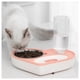 thumbnail image 4 of Plato Tazon Comida Para Mascotas Dispensador Agua Automatico, 4 of 6