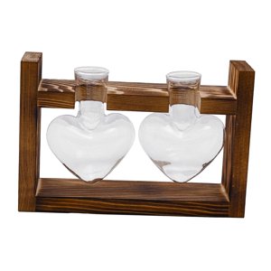 Magideal - Jarrón Hidropónico, Jarrón De Cristal, Mesa Central, Macetero, Regalo De Cumpleaños, Tarros De Propagación, Arreglo Floral Para El Día De San Valentín 2 Jarrones De Cristal