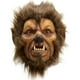 thumbnail image 4 of Mascara Halloween Hombre Lobo Werewolf, 4 of 5