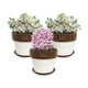 thumbnail image 2 of Set de 3 Maceta Greta 16cm Blanca y sus platos, 2 of 3