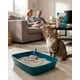 thumbnail image 1 of Arena Sanitario Gatos Alta Durabilidad 4kg, 1 of 6