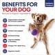 thumbnail image 2 of Suplemento Para Perros Mezcla De 7 Hongos Y Omega 3, 2 of 8