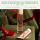 thumbnail image 3 of Set de Perfume Panier des Sens Rosa + Crema de Manos – Regalo, 3 of 6