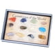thumbnail image 1 of Colección De Rocas Y Minerales Kit De Ciencias Geológicas Juguete De Ciencias Terrestres, 1 of 5
