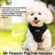 thumbnail image 5 of Chaleco de malla suave Mr. Peanut's PupTrek para perros y gatos pequeños, 5 of 9