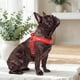 thumbnail image 3 of Arnés Petlounge Easy Glam Mascotas Perros Talla M rojo, 3 of 9
